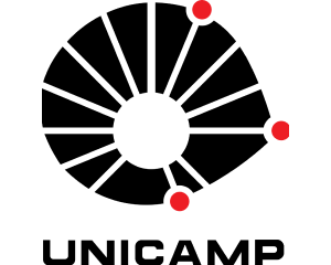 unicamp-logo-liis-ufpa