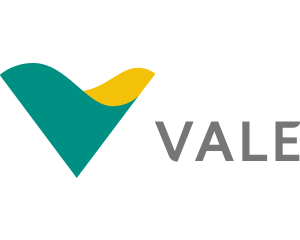 vale-logo-liis-ufpa